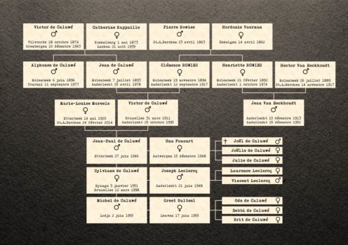 Une arbre généalogique plus détaillé de la famille de Caluwé